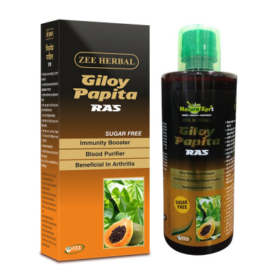 NatureXprt Giloy Papita Ras (Sugar Free) | Natural Immunity Booster and Blood Purifier